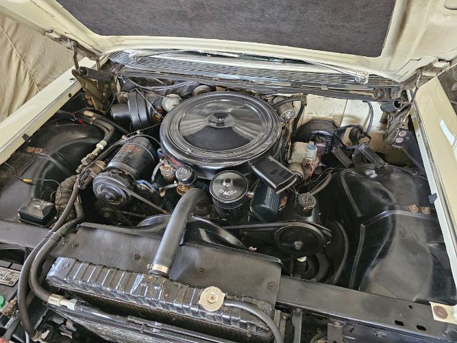 Cadillac-60-special-1959-White-BlackWhite-1