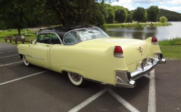 Cadillac-Coupe-deville-1954-Apollo-Goldblack-Green-6