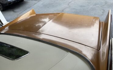 Cadillac-DeVille-1970-14
