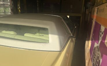 Cadillac-Eldorado-1978-Coupe-6