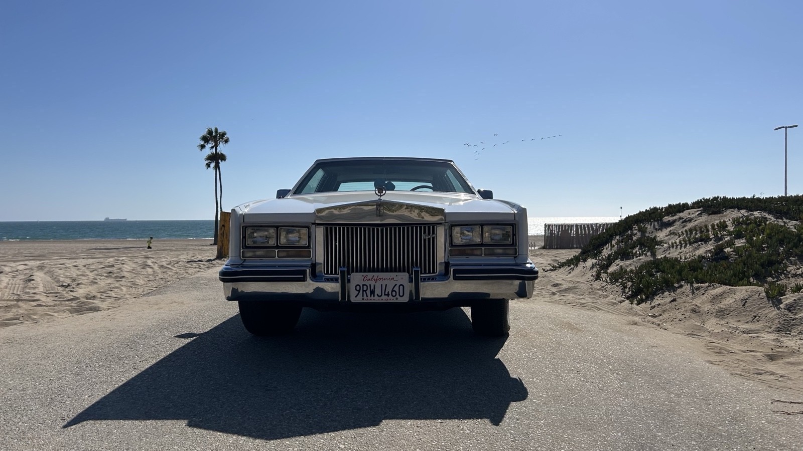 Cadillac-Eldorado-1984-8