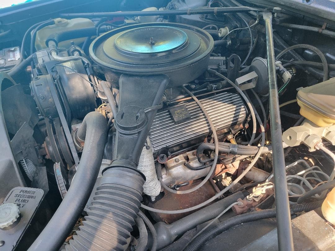 Cadillac-Eldorado-1985-Convertible-5