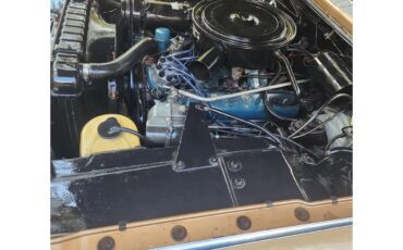 Cadillac-Eldorado-biarritz-1964-Firemist-Saddle-Sandalwood-63