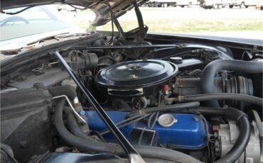 Cadillac-Fleetwood-1970-Black-Saddle-30