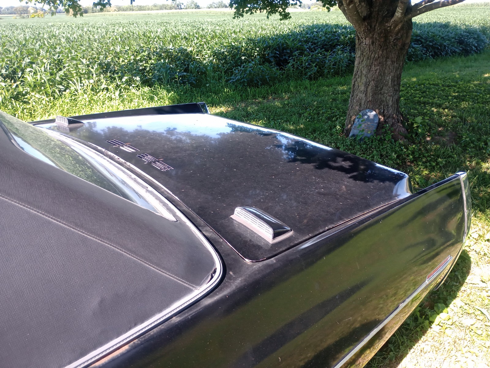 Cadillac-Fleetwood-1971-Limousine-36