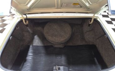 Cadillac-Fleetwood-1981-Sedan-8
