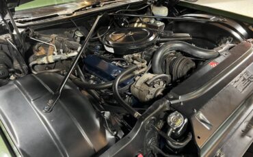 Cadillac-deville-1971-green-14