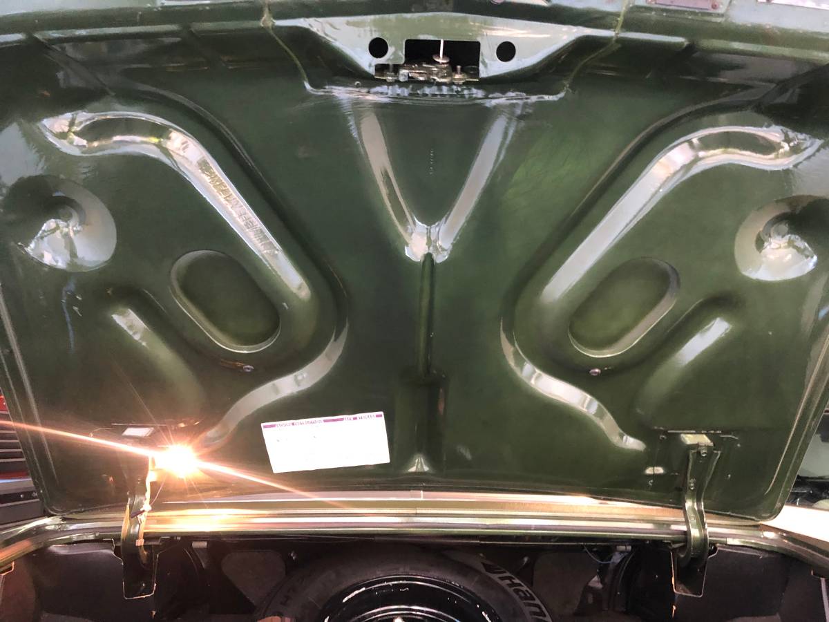 Cadillac-deville-1971-green-16
