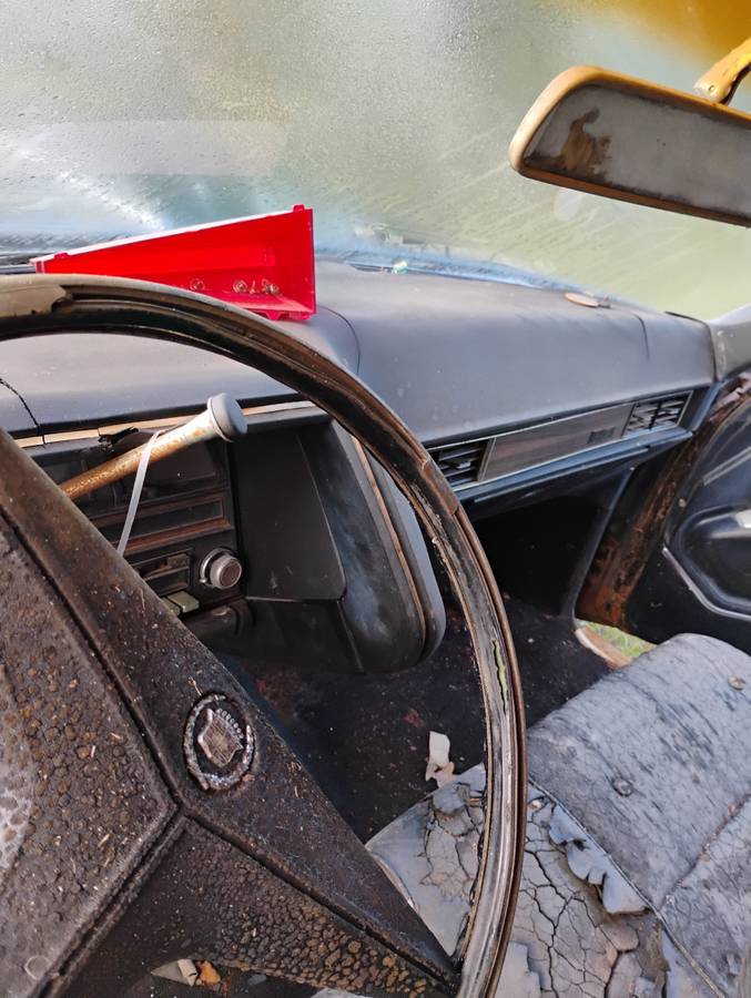 Cadillac-fleetwood-brougham-1969-black-10
