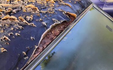 Cadillac-fleetwood-brougham-1969-black-18