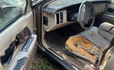 Cadillac-fleetwood-brougham-1994-custom-2