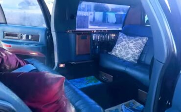 Cadillac-fleetwood-limousine-1994-blue-2