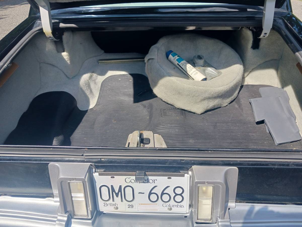 Cadillac-sedan-1979-grey-3