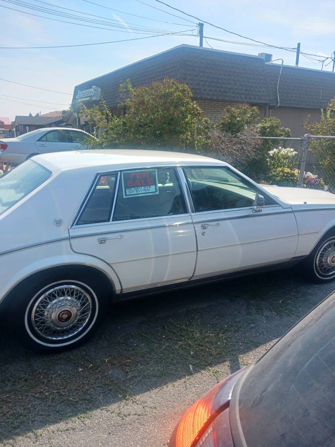Cadillac-seville-1985-white-4