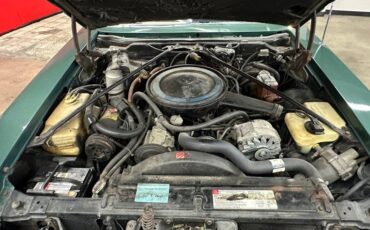 Cadillac-seville-renaissance-1977-green-11