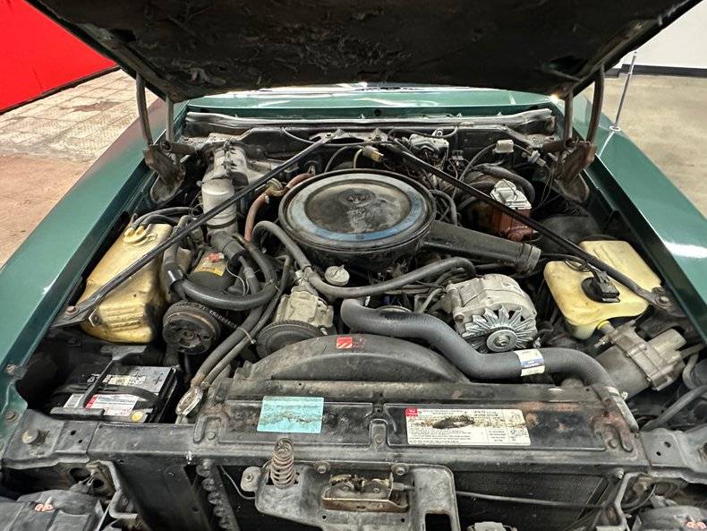 Cadillac-seville-renaissance-1977-green-11