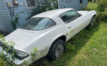 Camaro-berlinetta-1981-white-3