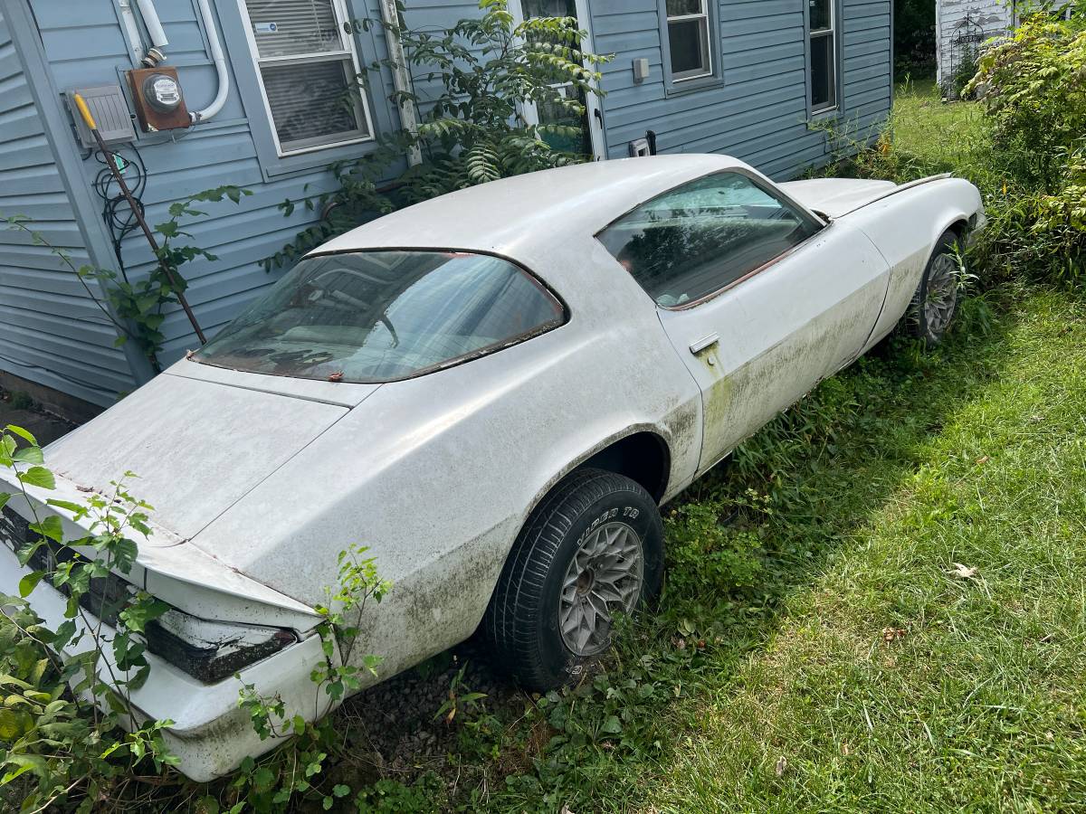 Camaro-berlinetta-1981-white-3