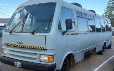 Champion-motorhome-model-31-diesel-1991-grey-10