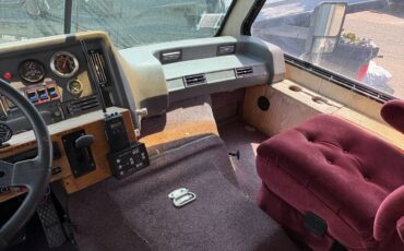 Champion-motorhome-model-31-diesel-1991-grey-17