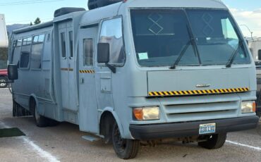 Champion-motorhome-model-31-diesel-1991-grey-8