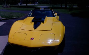 Chavy-corvette-stingray-1976-yellow-5