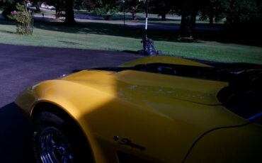Chavy-corvette-stingray-1976-yellow-9