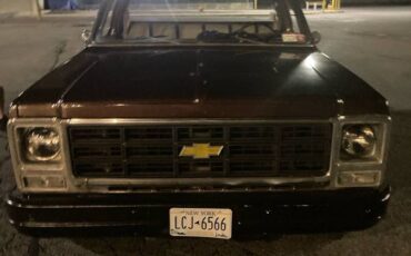 Cherolet-pick-up-1979-brown-1