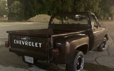 Cherolet-pick-up-1979-brown-2