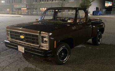 Cherolet-pick-up-1979-brown