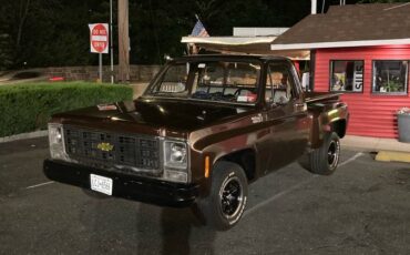 Cherolet-pick-up-1979-brown-5