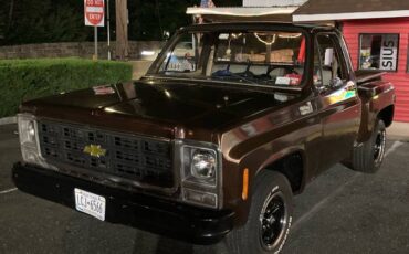 Cherolet-pick-up-1979-brown-6