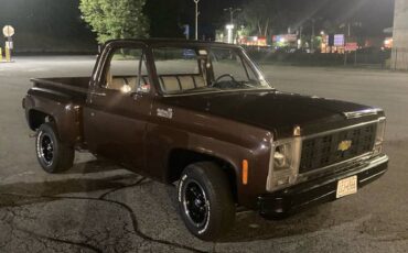 Cherolet-pick-up-1979-brown-7