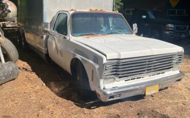 Chev-1-ton-dually-1979-3