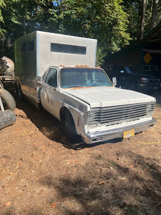 Chev-1-ton-dually-1979-3