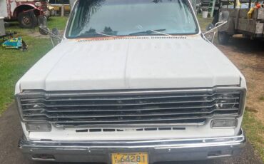 Chev-1-ton-dually-1979-6