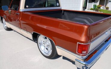 Chev-silverado-r10-1987-custom-13
