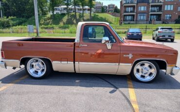 Chev-silverado-r10-1987-custom-16