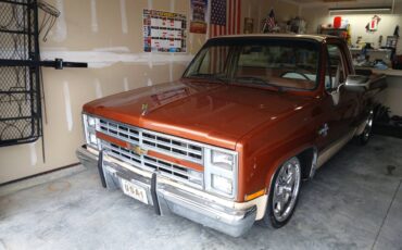 Chev-silverado-r10-1987-custom-18