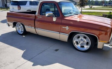 Chev-silverado-r10-1987-custom-19