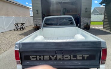 Chevroler-s-10-1991-white-3