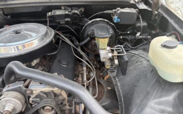 Chevrolet-12-Ton-Pickup-1990-Standard-Cab-Pickup-9