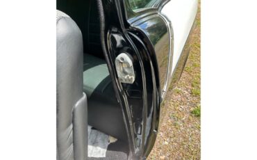 Chevrolet-150-1957-Black-Widow-Blackracing-tweed-11