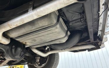 Chevrolet-150-1957-Black-Widow-Blackracing-tweed-18