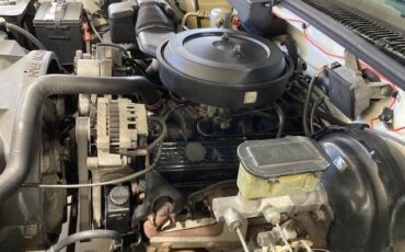 Chevrolet-1500-1993-white-11