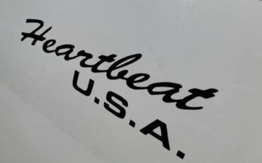 Chevrolet-1500-1993-white-12