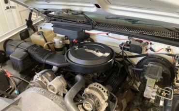 Chevrolet-1500-1993-white-23