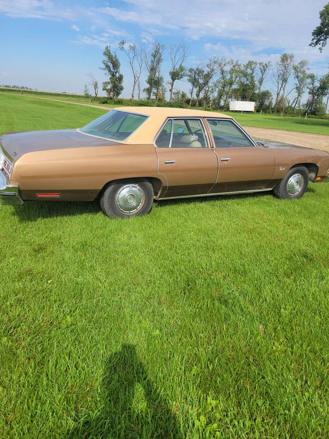 Chevrolet-1976-1
