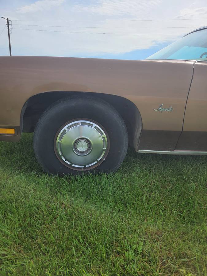Chevrolet-1976-7