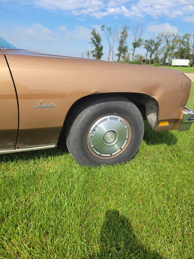 Chevrolet-1976-8